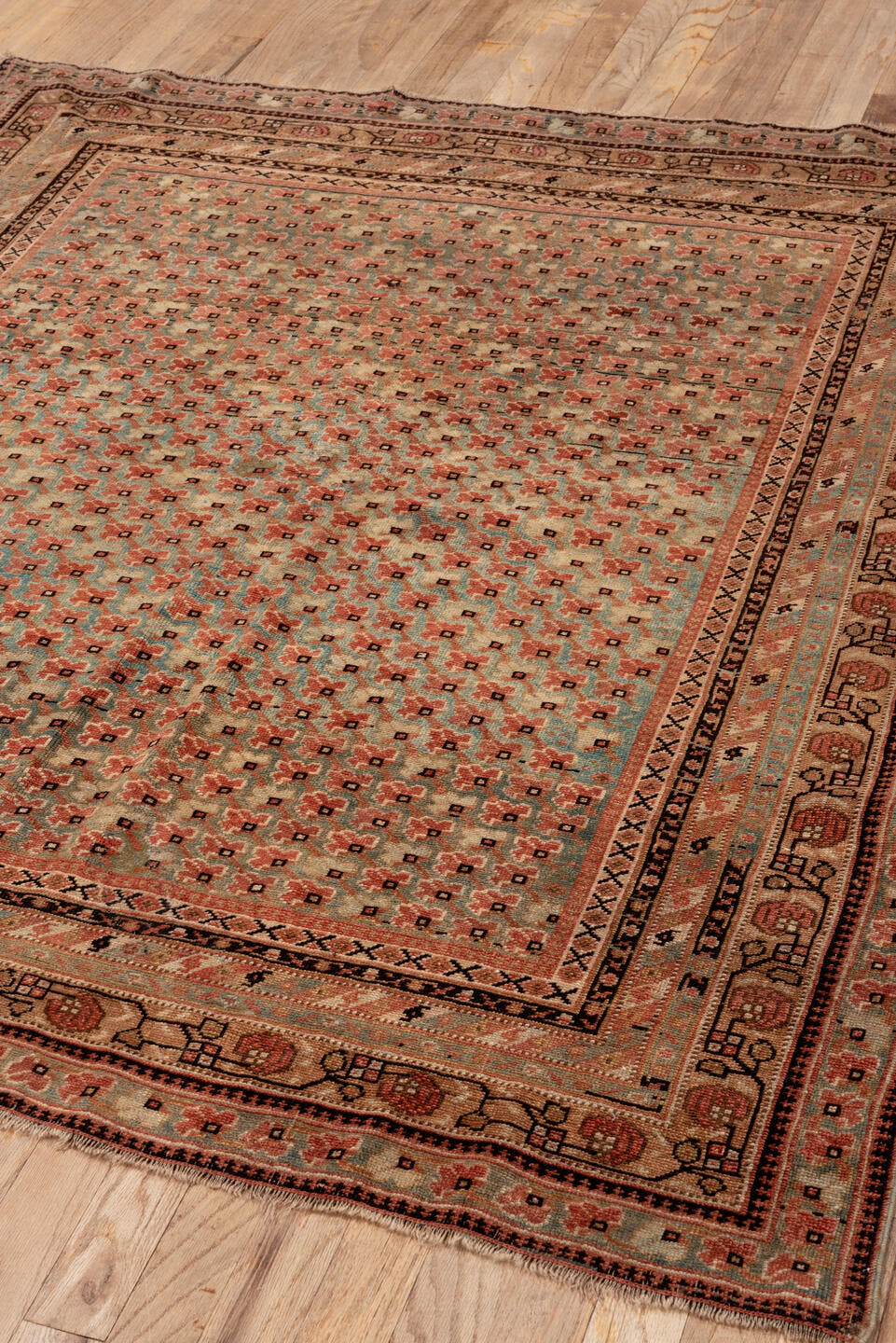 4' x 5' one-of-a-kind handmade antique Afshar small size rug. Color palette: camel, rust, ivory, charcoal, taupe, sage