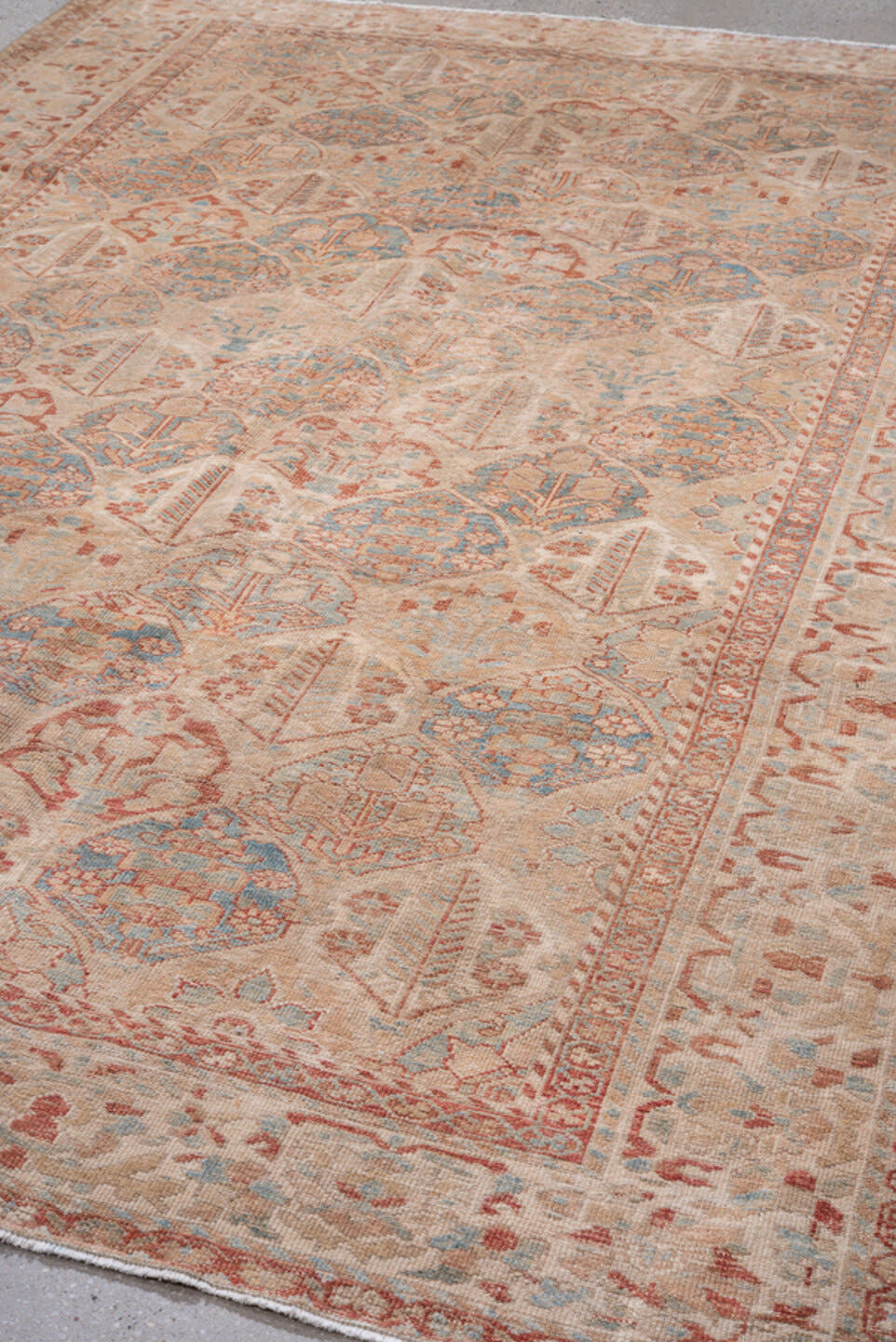 6' x 9' one-of-a-kind handmade antique Baktiary medium size rug. Color palette: ivory, blush, pale blue, rose, taupe, sage