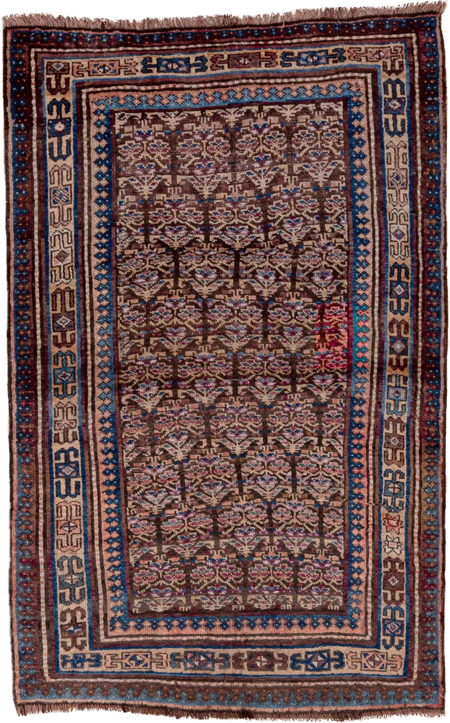 3' x 6' one-of-a-kind handmade antique Kurd small size rug. Color palette: brown, ivory, indigo, sky blue, rose, burgundy