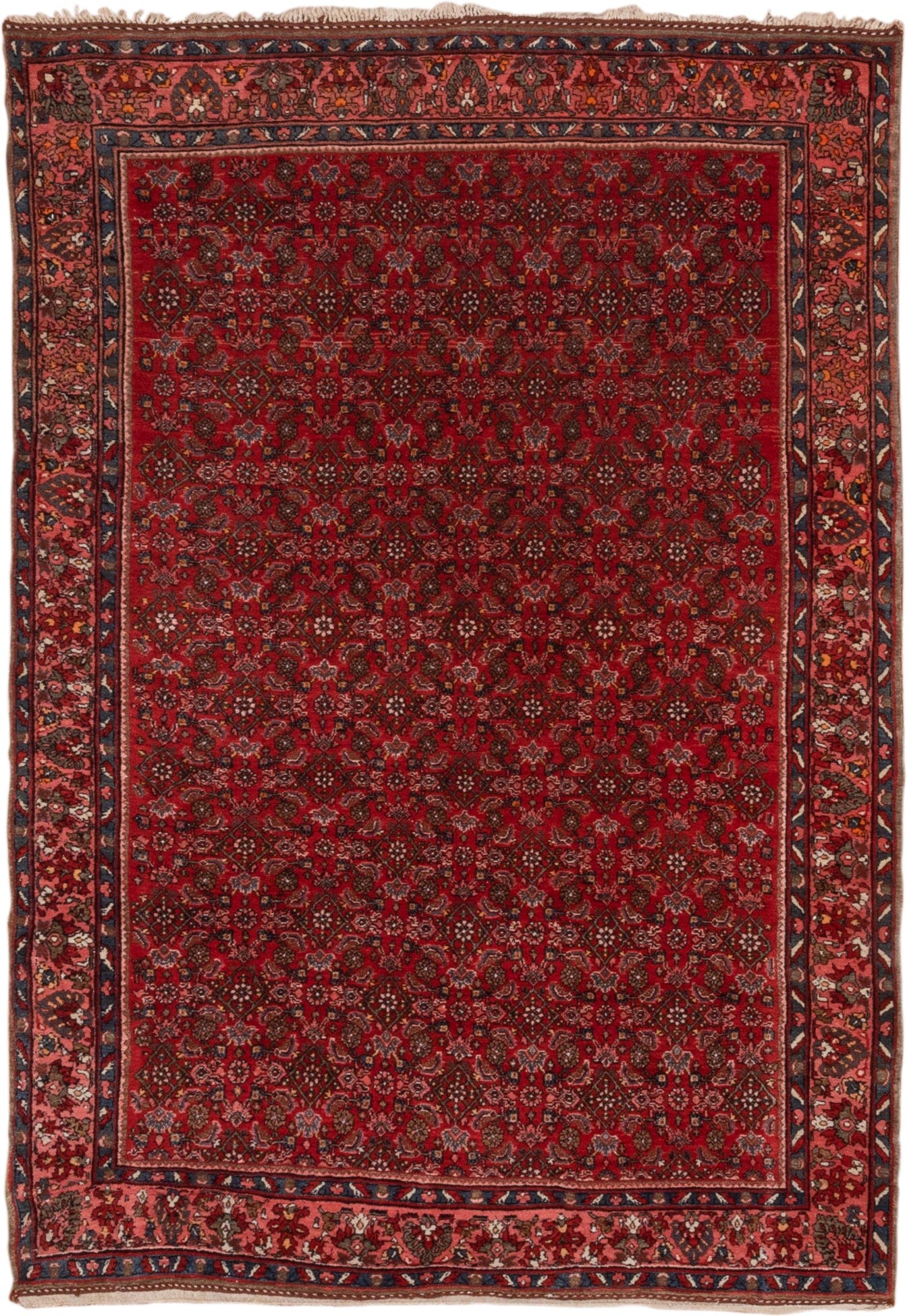 5' x 7' one-of-a-kind handmade antique Bidjar rug. Color palette: red, navy, rust, rose, ivory, charcoal, blue, terracotta