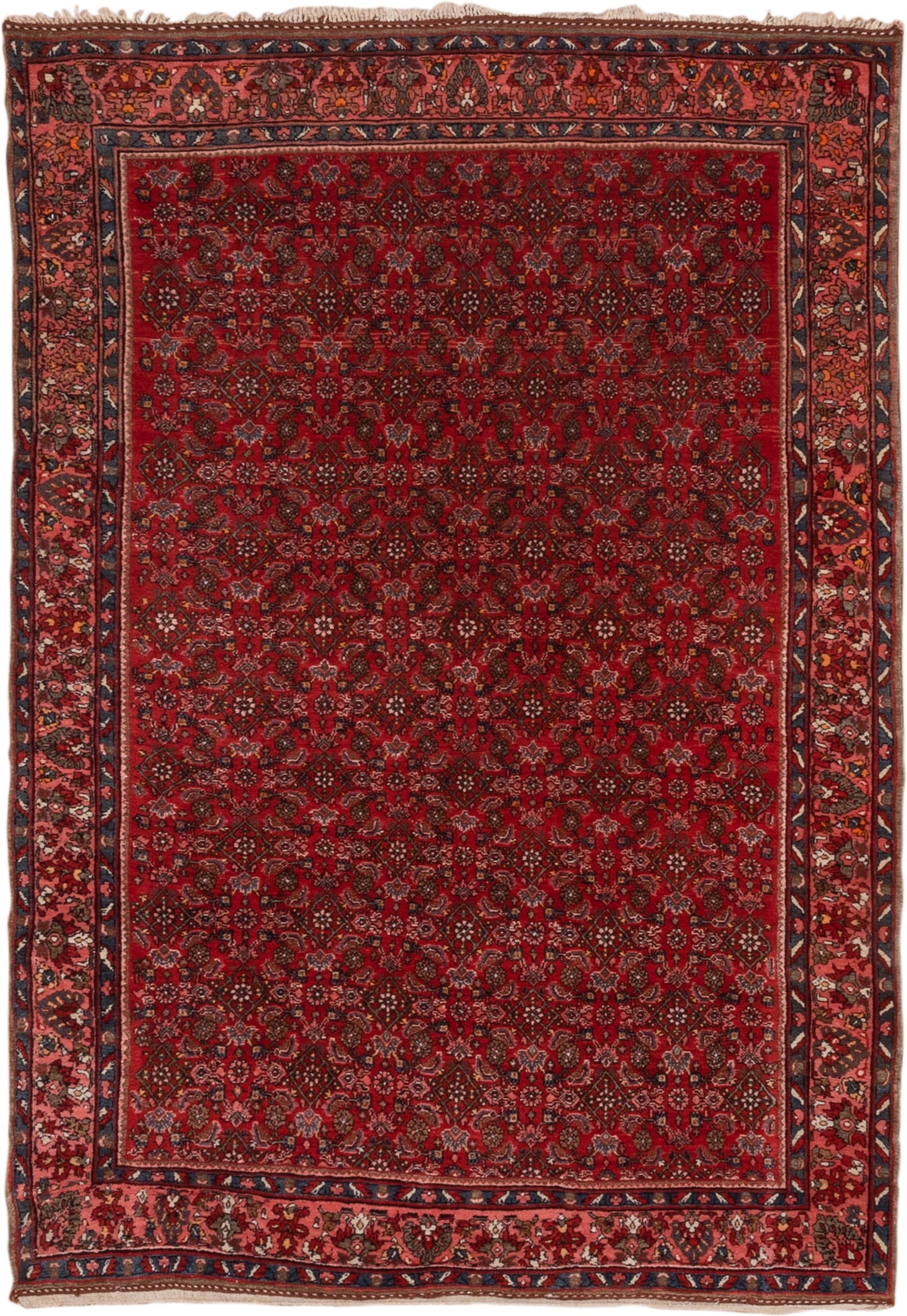 5' x 7' one-of-a-kind handmade antique Bidjar rug. Color palette: red, navy, rust, rose, ivory, charcoal, blue, terracotta