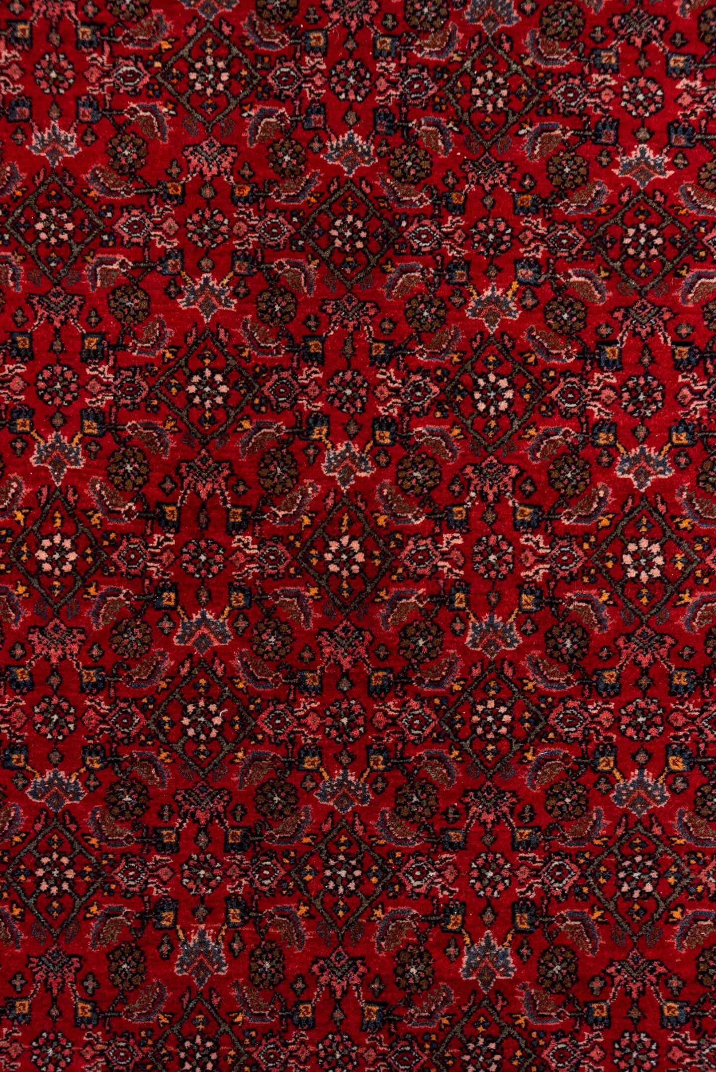 5' x 7' one-of-a-kind handmade antique Bidjar rug. Color palette: red, navy, rust, rose, ivory, charcoal, blue, terracotta