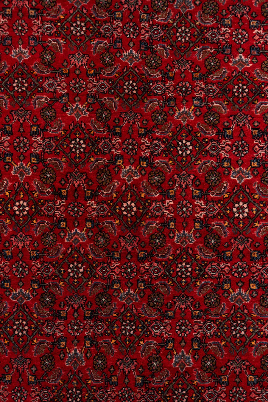 5' x 7' one-of-a-kind handmade antique Bidjar rug. Color palette: red, navy, rust, rose, ivory, charcoal, blue, terracotta