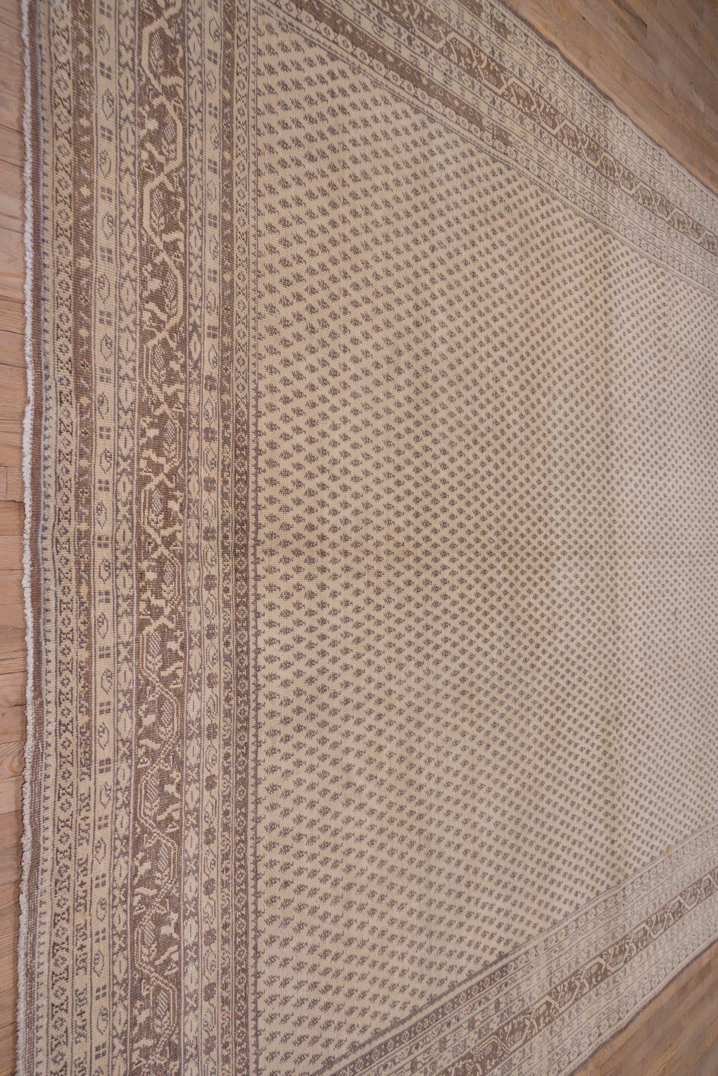 11' x 14' one-of-a-kind handmade vintage Sivas oversize rug. Color palette: ivory, taupe, brown, beige, camel, gray