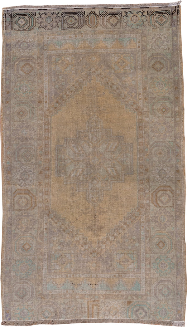 4' x 6' Teal Rugs