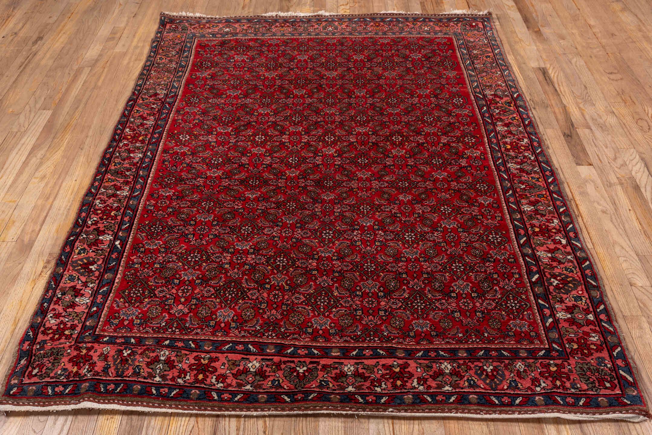 5' x 7' one-of-a-kind handmade antique Bidjar rug. Color palette: red, navy, rust, rose, ivory, charcoal, blue, terracotta