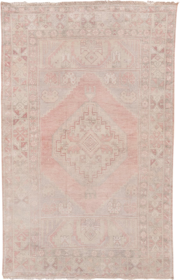 4' x 6' Pink Rugs