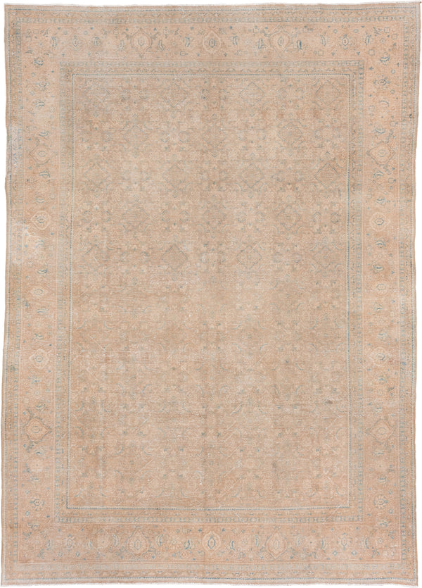 9' x 12' Ivory Rugs