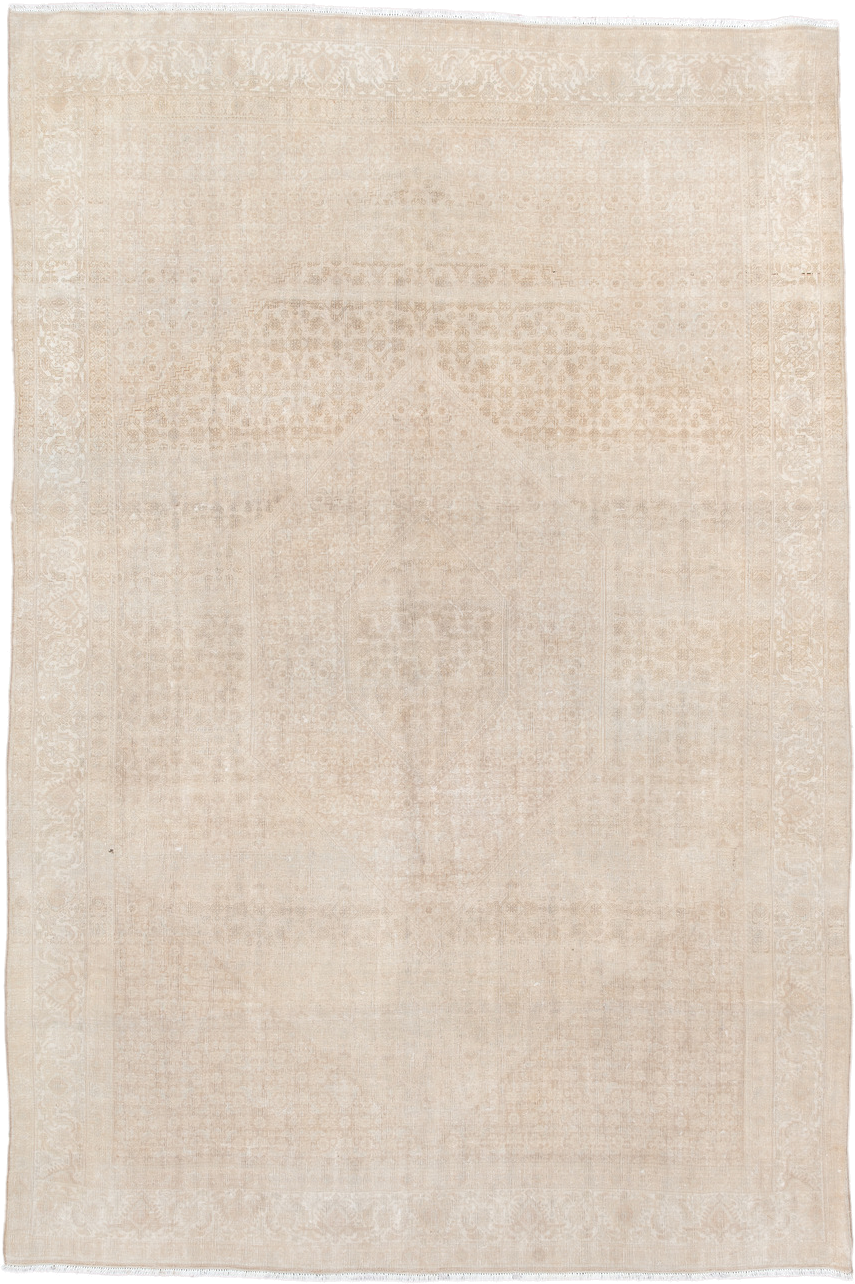 6' x 10' one-of-a-kind handmade antique Bidjar large size rug. Color palette: ivory, cream, sand, beige, taupe, gray