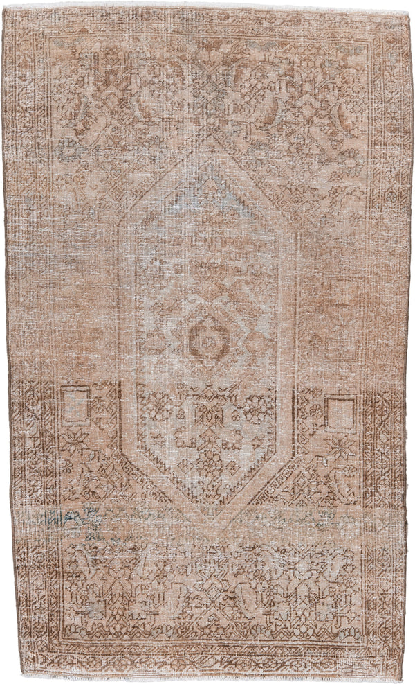 Warm Sarouk Rugs