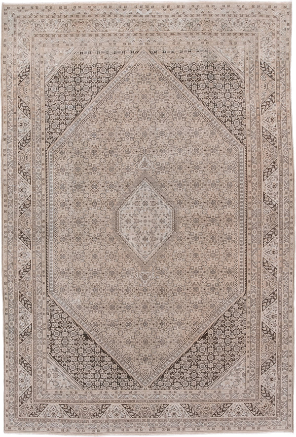 Ivory Tabriz Rugs