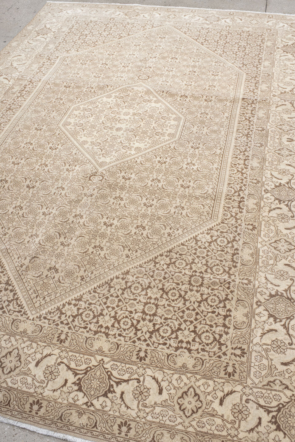 6' x 9' one-of-a-kind handmade antique Bidjar medium size rug. Color palette: ivory, taupe, beige, camel, sand, gray