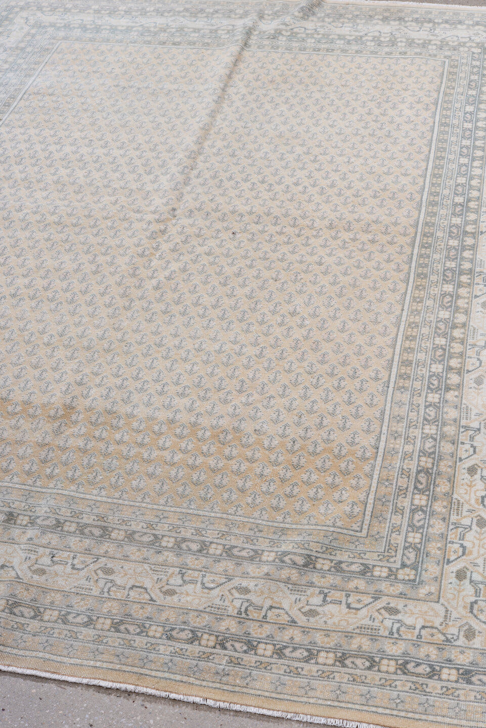 5' x 7' one-of-a-kind handmade antique Saraband rug. Color palette: ivory, pale blue, beige, taupe, cream, slate, light blue