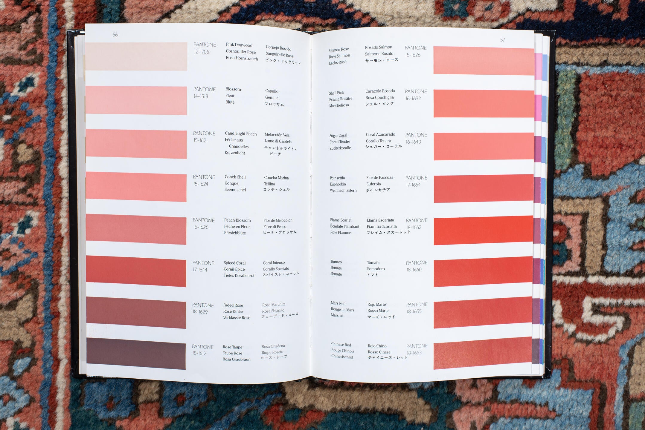 6' x 9' one-of-a-kind handmade vintage Heriz medium size rug. Color palette: rust, ivory, navy, sky blue, coral, teal, sage