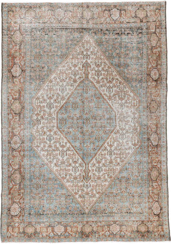 4' x 6' Teal Rugs