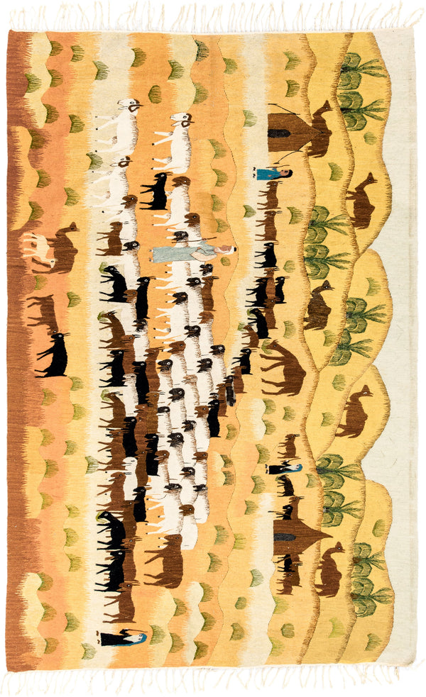 6' x 9' Black Rugs