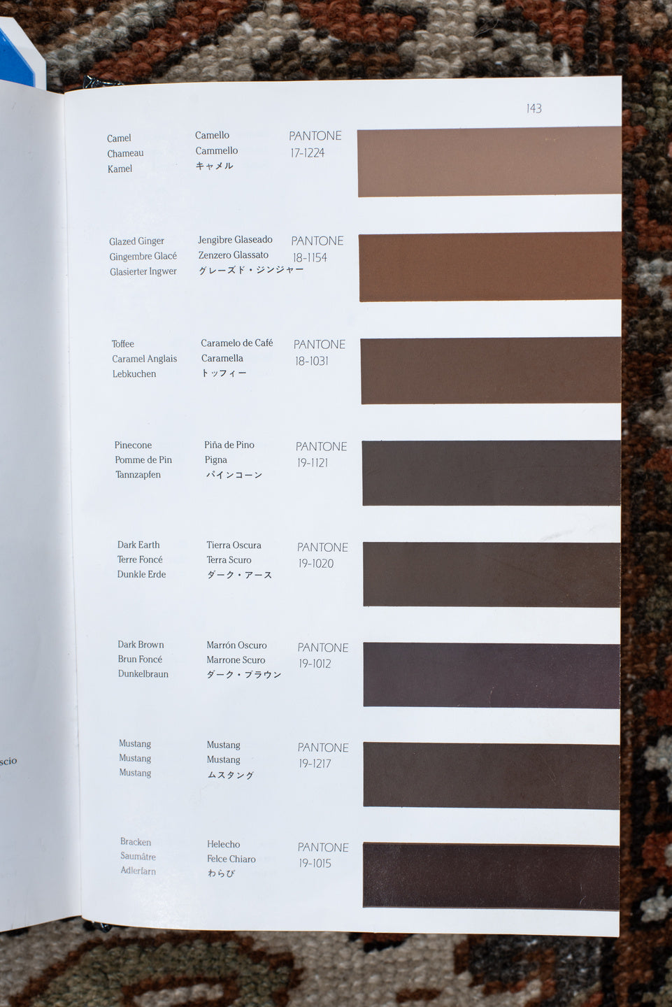 9' x 12' one-of-a-kind handmade antique Karaje large size rug. Color palette: rust, ivory, indigo, brown, terra cotta, slate