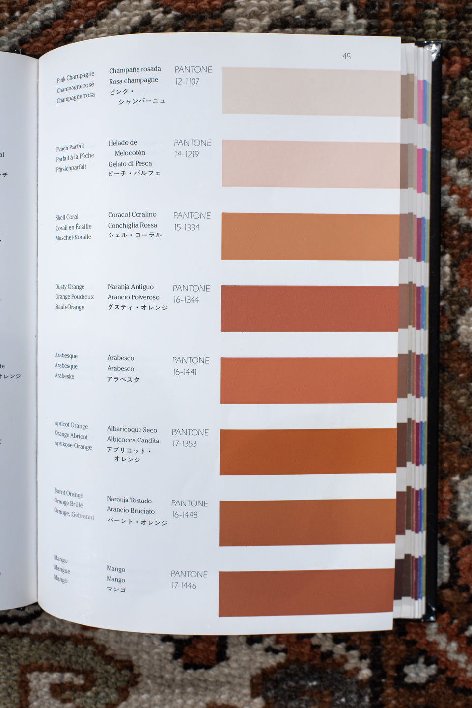 9' x 12' one-of-a-kind handmade antique Karaje large size rug. Color palette: rust, ivory, indigo, brown, terra cotta, slate