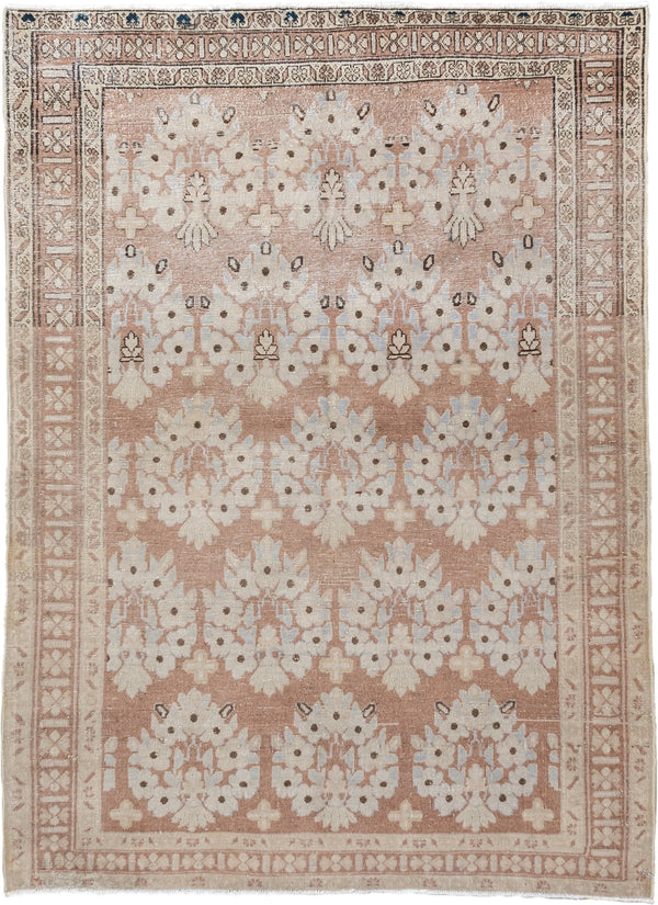 Warm Afshar Rugs