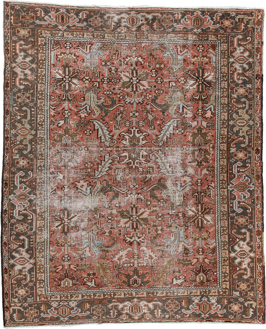 6' x 8' one-of-a-kind handmade antique Heriz rug. Color palette: terracotta, charcoal, ivory, rust, olive, light blue, camel