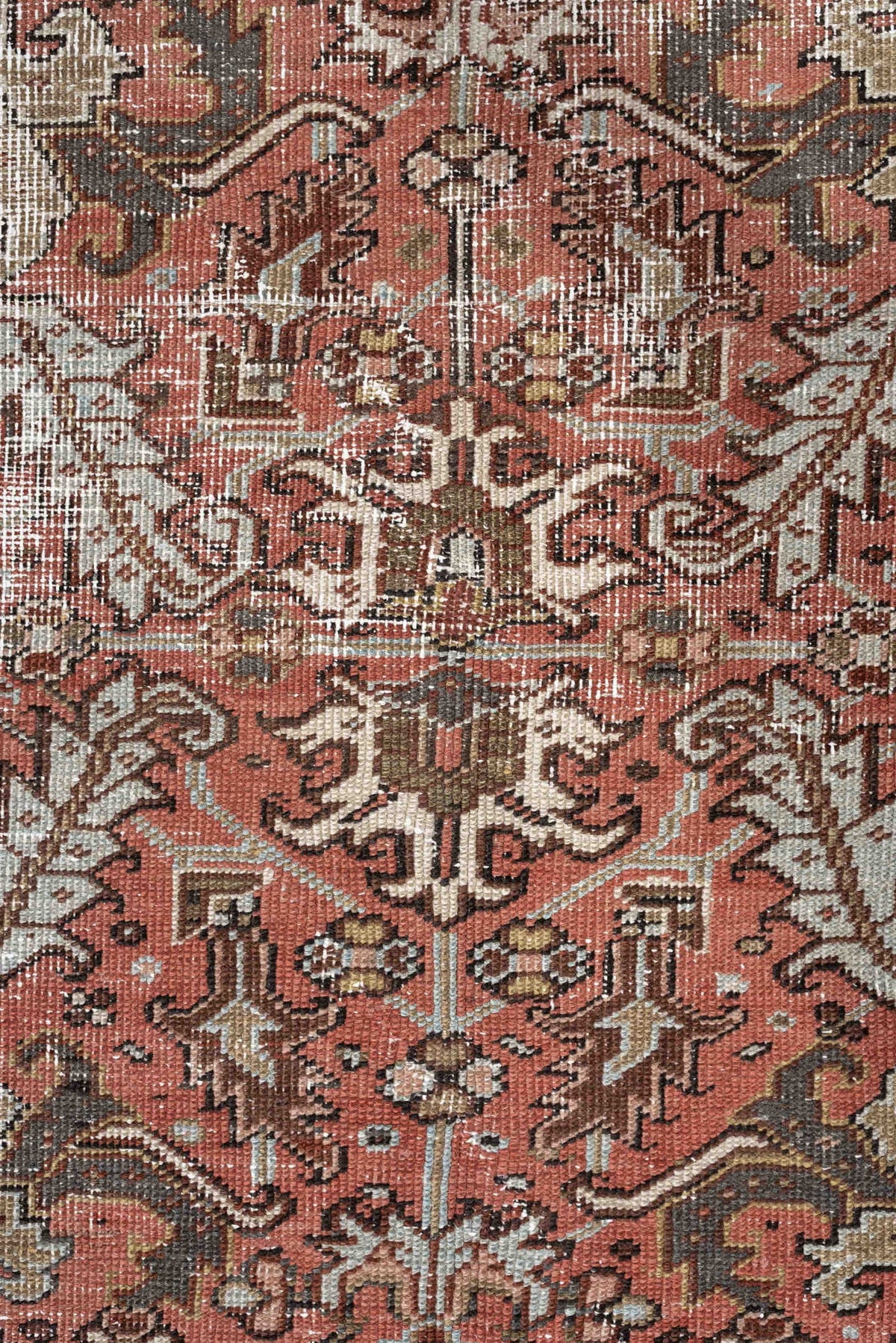 6' x 8' one-of-a-kind handmade antique Heriz rug. Color palette: terracotta, charcoal, ivory, rust, olive, light blue, camel