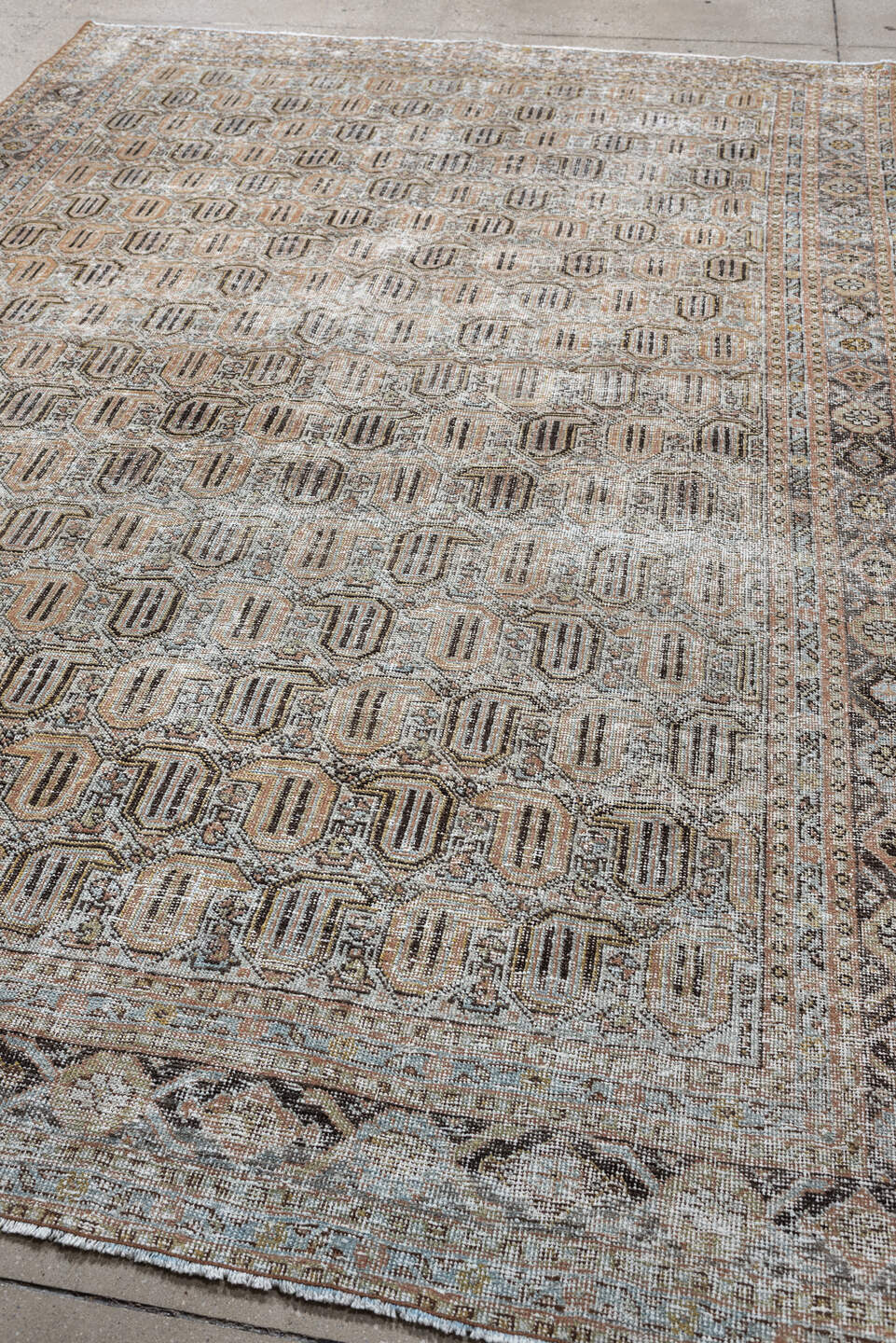 6' x 9' one-of-a-kind handmade antique Afshar medium size rug. Color palette: ivory, taupe, blush, charcoal, sage, camel