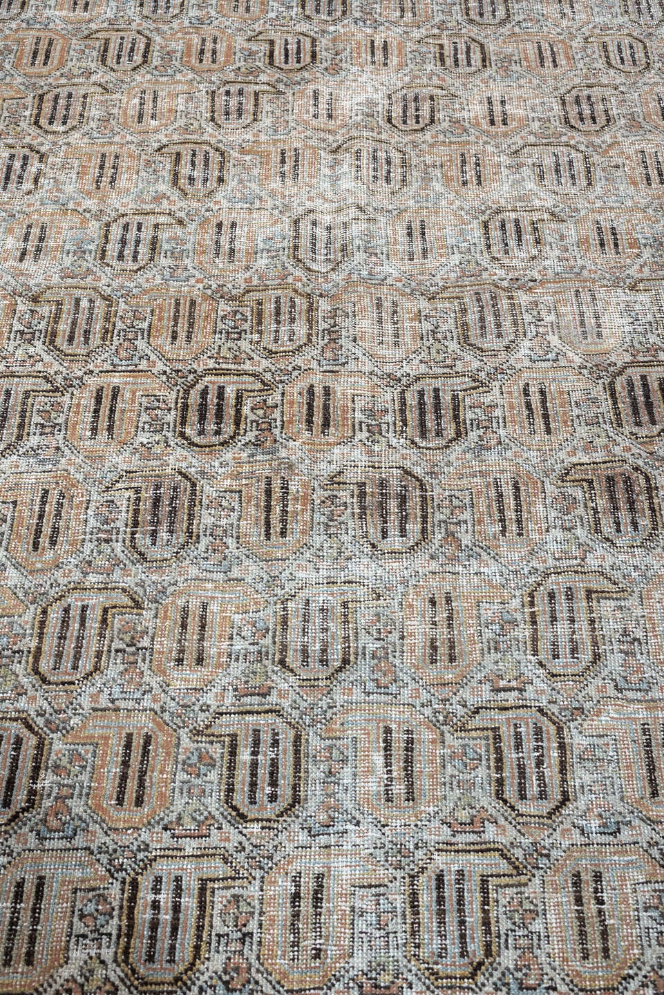 6' x 9' one-of-a-kind handmade antique Afshar medium size rug. Color palette: ivory, taupe, blush, charcoal, sage, camel