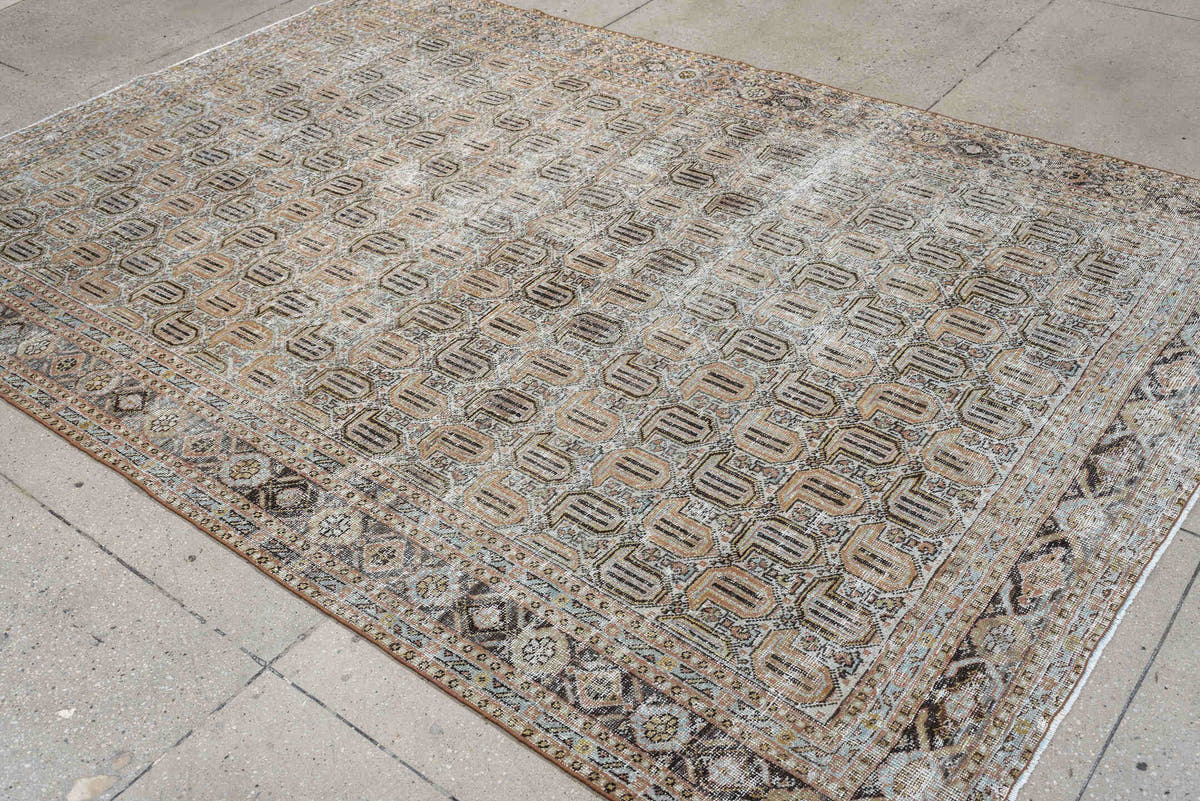 6' x 9' one-of-a-kind handmade antique Afshar medium size rug. Color palette: ivory, taupe, blush, charcoal, sage, camel