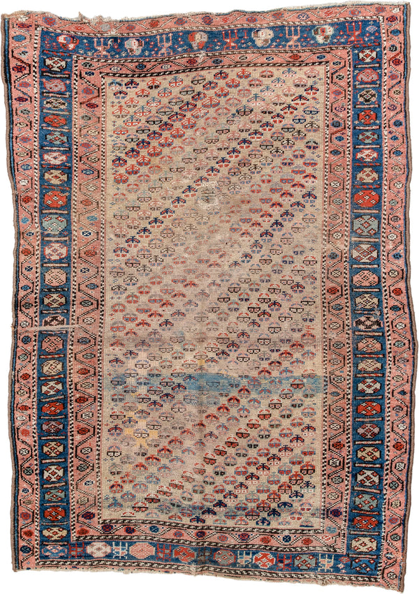 4' x 6' Warm Rugs