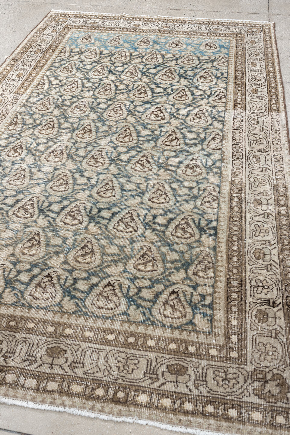 5' x 8' one-of-a-kind handmade antique Malayer medium size rug. Color palette: ivory, sky blue, taupe, brown, beige