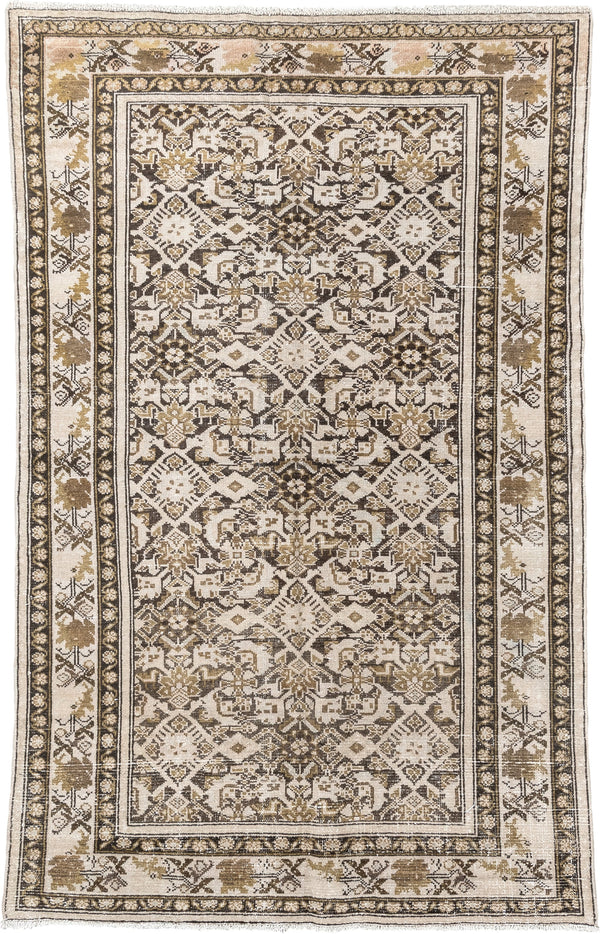 4' x 6' Malayer Rugs