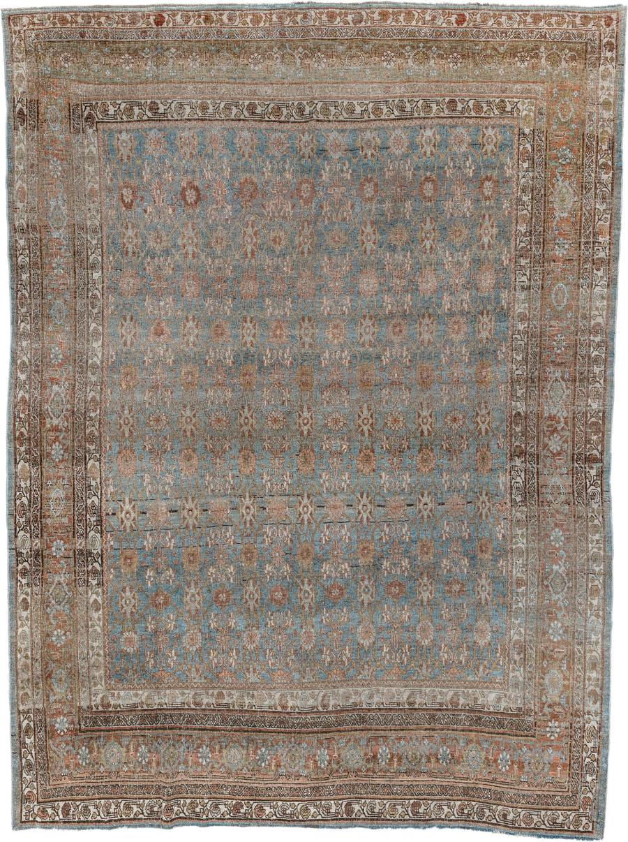 7' x 10' one-of-a-kind handmade antique Bidjar large size rug. Color palette: sky blue, ivory, terra cotta, taupe, camel
