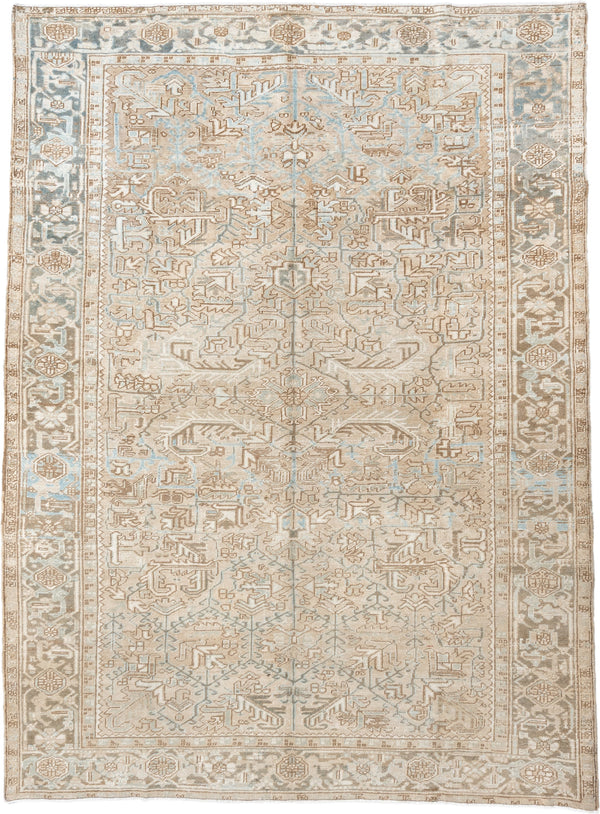 8' x 11' Persian Rugs