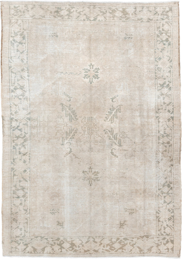 6' x 9' Persian Rugs
