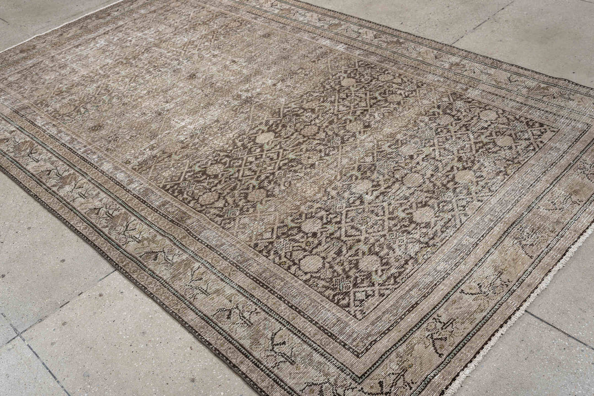 5' x 9' one-of-a-kind handmade antique Malayer medium size rug. Color palette: taupe, ivory, charcoal, brown, sage, beige