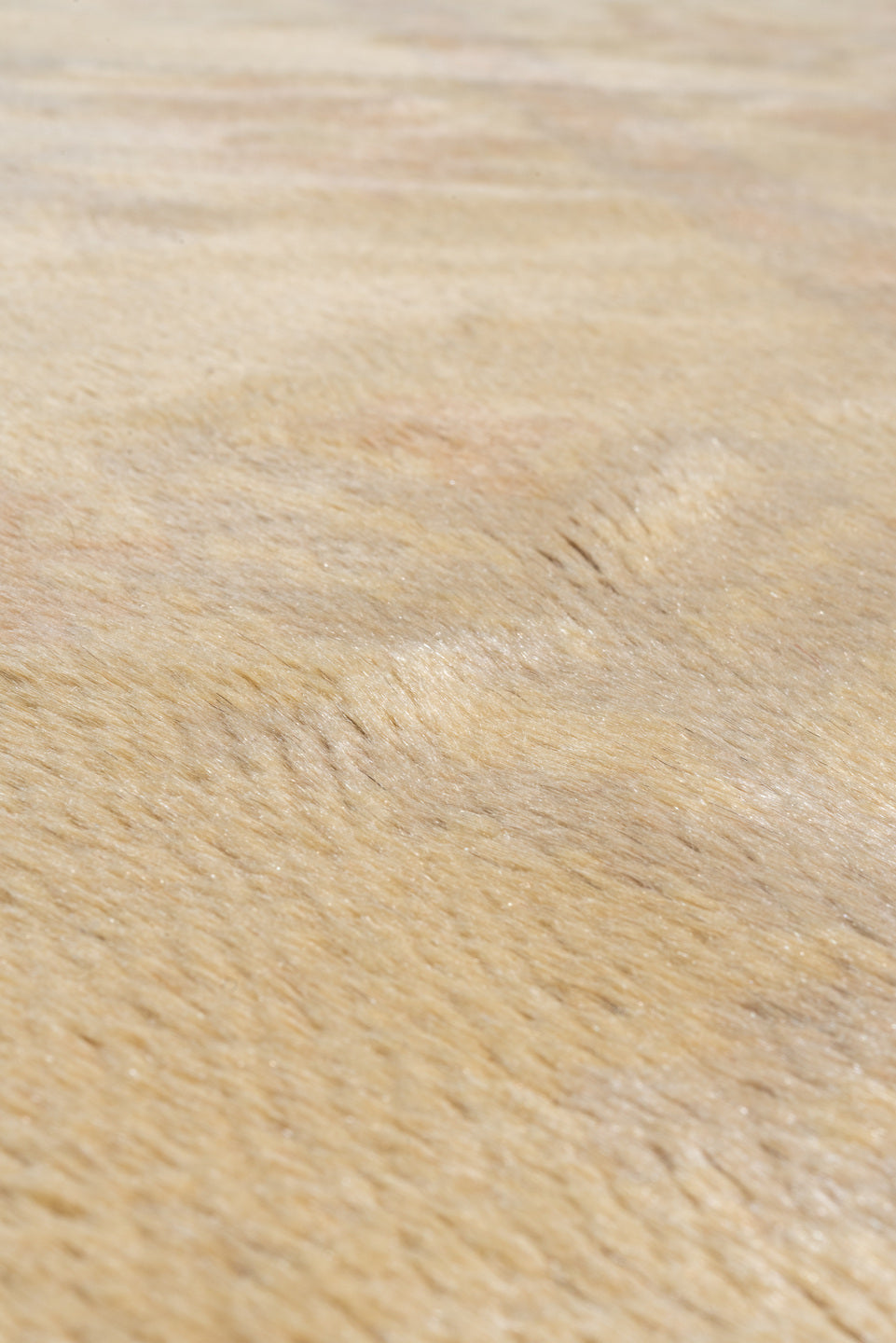 11' x 14' one-of-a-kind handmade vintage Spanish oversize rug. Color palette: ivory, camel, cream, blush, pale blue, taupe