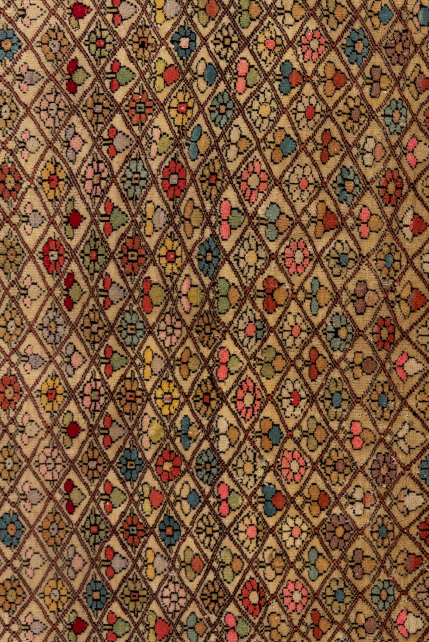 10' x 13' one-of-a-kind handmade vintage Afghan large size rug. Color palette: ivory, muted blue, rust, rose, taupe, camel